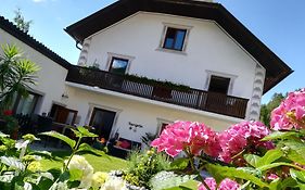 Gästehaus Daurer